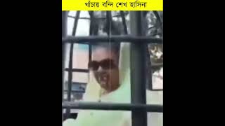 খাঁচায় বন্দি শেখ হাসিনা zoombangla reelsfb reelsfbviral bnb [upl. by Attelahs931]