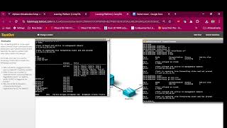 1174 Find VLAN Information  Cisco router amp switch TestOut Routing and Switching Pro [upl. by Spain]