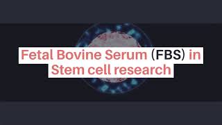 Life Science Fetal Bovine Serum FBS in Stem Cell Research MP Biomedicals [upl. by Ettezus]