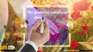 Life Video Quotes The pessimist complains about the wind the optimist expects it to [upl. by Oremodlab]