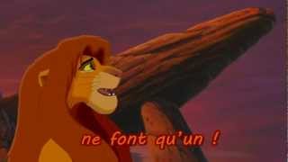 Le Roi Lion 2  Nous sommes un lyrics [upl. by Hale173]