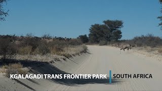 Kgalagadi Transfrontier Park SA May 2023 [upl. by Annaeirb]