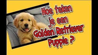 Hoe teken je een golden retriever puppy Leren tekenen [upl. by Nnylirak]