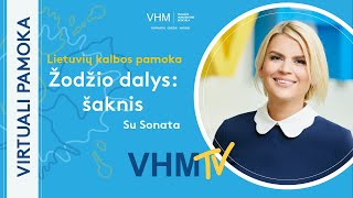 Virtuali lietuvių kalbos pamoka I dalis  Šaknis [upl. by Huxham986]