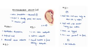 OCCIPTIO POSTERIOR POSITION NOTES  OBSTETRICS  OBGY  ONE PAGE NOTES  4TH PROFF  MBBS [upl. by Eloisa]