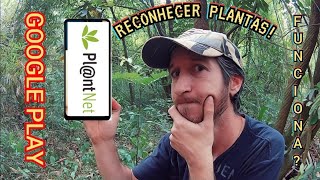 PLANTNET Descubra o nome de QUALQUER planta [upl. by Cirtemed]