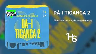 Gheboasa x Lil Cagula x Beach Please  DĂI ȚIGANCA 2  1 Hour [upl. by Halda229]