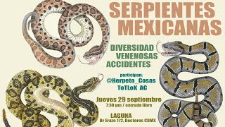 SERPIENTES MEXICANAS [upl. by Hoem350]