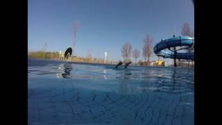 Kardinge Swimming Pool Groningen [upl. by Enillebyam]