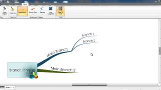 iMindMap 6  Branch Pinning [upl. by Margette]