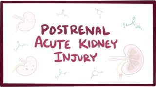 Postrenal acute kidney injury acute renal failure  causes symptoms amp pathology [upl. by Erickson513]