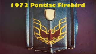 1973 Pontiac Firebird [upl. by Haldane]