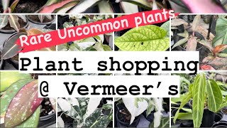 Rare Plant Shopping  Vermeer’s Orange Princess Hoya and Alocasia uncommon plant alert🚨 [upl. by Elleoj]