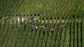 Mosel in Germany BernkastelKues tourism highlights  Moselle travel video [upl. by Haral]