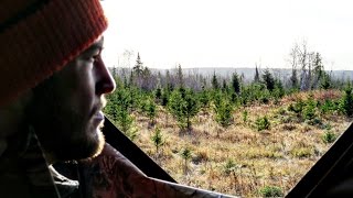 Northern Ontario Deer Hunting RockRib OutDoors [upl. by Yecart173]