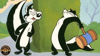 Pepe Le Pew Full Cartoon Compilation [upl. by Viva322]