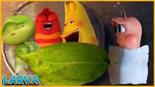 🅽🅴🆆 LARVA CARTOON 2023  Larva Family  The Best Of Funny Cartoons Box [upl. by Isabella]