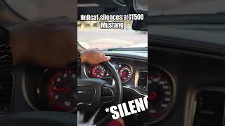 Hellcat Charger SILENCES🤫 Mustang GT500 in traffic… hellcat shorts [upl. by Chesna941]