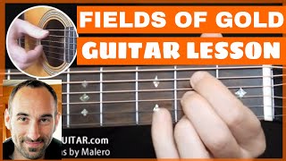 Fields Of Gold Guitar Lesson  part 1 of 11 [upl. by Eelitan]