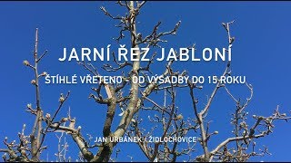 Jarní řez jabloní  od výsadby do 15 roku [upl. by Ellerihs948]