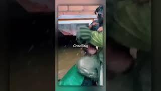 Men Save Trapped Dog from Flooded House ❤️🐶 [upl. by Stephan]