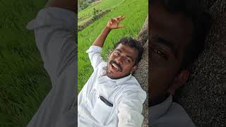 tamiltrending villagelife villagevlog vllogger [upl. by Nasya]