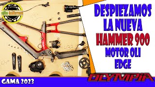 EBIKE HAMMER EDGE 900 2023 AL DESNUDO [upl. by Oirazan390]