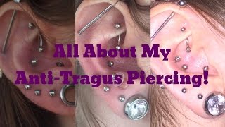 Antitragus Piercing FAQs amp 4 Month Update [upl. by Emili]