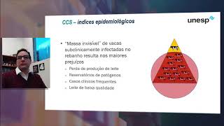 Mastite  Índices epidemiológicos I [upl. by Aurthur100]