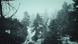 Snowstorm Blizzard Wind Sounds For Sleeping Relaxing  Calm Snow Arctic Howling Winter Ambience [upl. by Hanway]