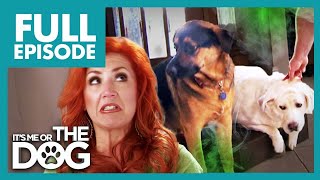 No Washing and Lots of Pooping Causes a Stink  Full Episode USA  Its Me or The Dog [upl. by Kelton]