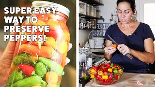 How to Easily PRESERVE PEPPERS in Vinegar and Salt [upl. by Galer]