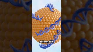 Dermal Liposome Development Enhancing Skincare skincare drugdelivery nanotechnology [upl. by Vary979]