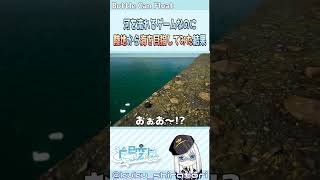 河を流れるゲームなのに陸地から海を目指してみた結果【Bottle Can Float】vtuber ゲーム実況 白鳥空々 shorts [upl. by Hosbein206]