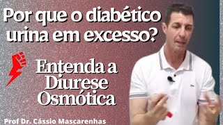 Diurese Osmótica no diabético Poliúria e Glicosúria [upl. by Grane]