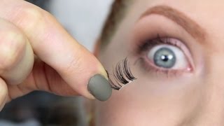 False Lashes  UNDER the Lash Line [upl. by Anaderol]