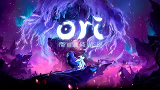 Ori and the Will of the Wisps I Low End Config I Core i3 5005U I 8 GB RAM I Intel HD 5500 [upl. by Betthezul707]