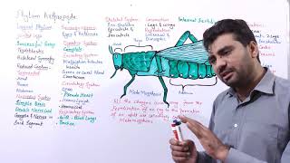 Phylum Arthropoda  jointed legs  Appendages biologywithmuhammadsajid FSc Alevel BS Students [upl. by Ahsropal]