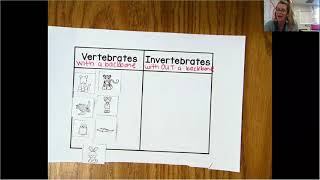 Vertebrates and Invertebrates Sort [upl. by Langley]