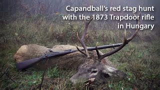 Hunting red stag with an original M 1873 Springfield Trapdoor rifle [upl. by Cissy628]