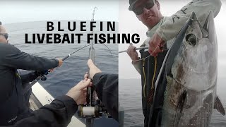 Catching Bluefin Tuna on Live Bait  Private Boat [upl. by Enaj]