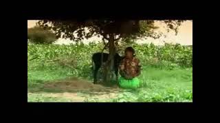 gosaye tesfaye letanashuwa lsga  bure  ጎሳዬ ተስፈዬ ለታናሹዋ ልስጋ  ብሬ [upl. by Nosnej]