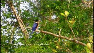 Sensational Sundarbans of Bangladesh  Part 1 [upl. by Inahs303]