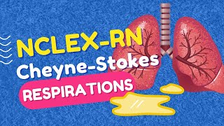 CheyneStokes Respirations  High Yield NCLEXRN Question Review [upl. by Stephani]