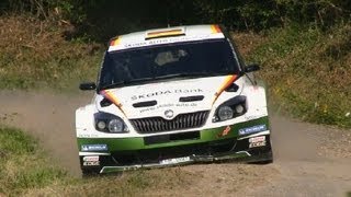 Rallye Deutschland Tests Wiegand Evans Andersson Chardonnet Kremer Riedemann P3 Test [upl. by Eilis]