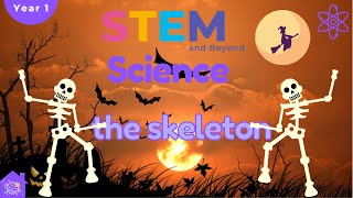 The Skeleton  KS1 Year 1 Science  Home Learning [upl. by Anola]