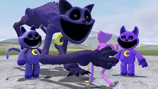 NEW CATNAP MONSTER POPPY PLAYTIME CHAPTER 3 In Garrys Mod [upl. by Janek]