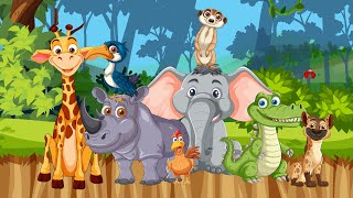 Jungle Jamboree song ampkids song [upl. by Hartfield901]