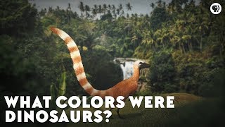 What Colors Were Dinosaurs [upl. by Irami149]