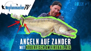 Folge 1  Angeln auf Zander mit Köderfisch am Fireball Rig [upl. by Aleira]